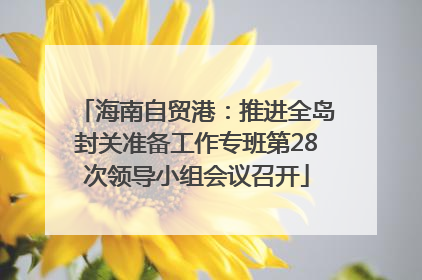 海南自贸港：推进全岛封关准备工作专班第28次领导小组会议召开