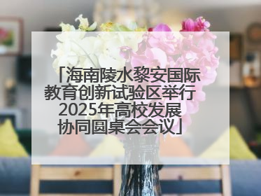 海南陵水黎安国际教育创新试验区举行2025年高校发展协同圆桌会会议