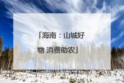 海南：山城好物 消费助农
