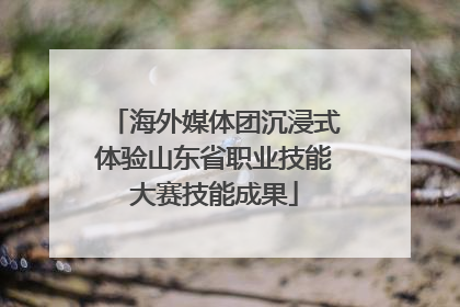 海外媒体团沉浸式体验山东省职业技能大赛技能成果