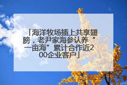 海洋牧场插上共享翅膀，老尹家海参认养“一亩海”累计合作近200企业客户