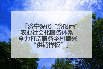 济宁深化“济时雨”农业社会化服务体系 全力打造服务乡村振兴“供销样板”