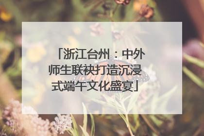 浙江台州：中外师生联袂打造沉浸式端午文化盛宴