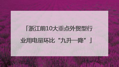 浙江前10大重点外贸型行业用电量环比“九升一降”