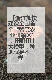 浙江加快建设全国首个“智慧农业引领区”：田野用上大模型，种地就是不一样