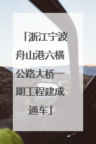 浙江宁波舟山港六横公路大桥一期工程建成通车