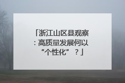 浙江山区县观察：高质量发展何以“个性化”？