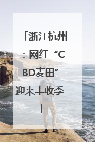 浙江杭州：网红“CBD麦田”迎来丰收季
