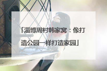 淄博周村韩家窝：像打造公园一样打造家园