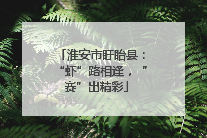 淮安市盱眙县：“虾”路相逢，“赛”出精彩