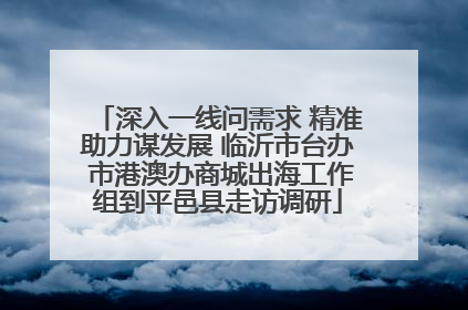 深入一线问需求 精准助力谋发展 临沂市台办 市港澳办商城出海工作组到平邑县走访调研