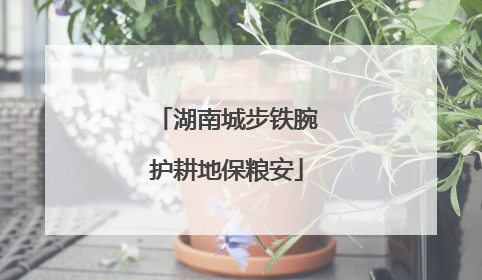 湖南城步铁腕护耕地保粮安
