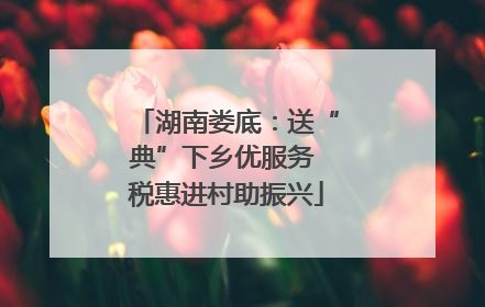 湖南娄底：送“典”下乡优服务 税惠进村助振兴