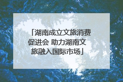 湖南成立文旅消费促进会 助力湖南文旅融入国际市场
