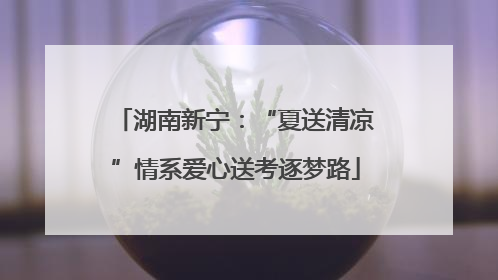 湖南新宁：“夏送清凉”情系爱心送考逐梦路