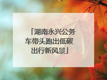 湖南永兴公务车带头跑出低碳出行新风景
