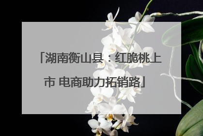 湖南衡山县：红脆桃上市 电商助力拓销路