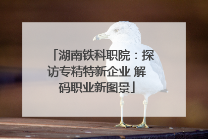 湖南铁科职院：探访专精特新企业 解码职业新图景