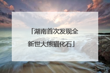 湖南首次发现全新世大熊猫化石