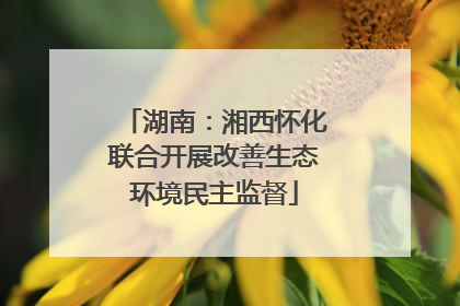 湖南：湘西怀化联合开展改善生态环境民主监督