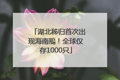 湖北秭归首次出现海南鳽！全球仅存1000只