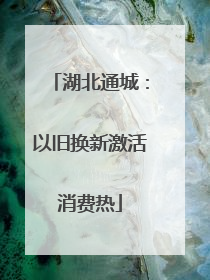 湖北通城：以旧换新激活消费热
