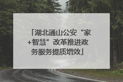 湖北通山公安“家+智慧”改革推进政务服务提质增效