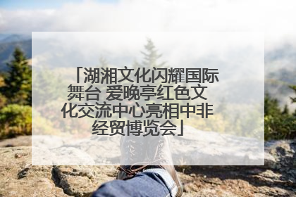 湖湘文化闪耀国际舞台 爱晚亭红色文化交流中心亮相中非经贸博览会
