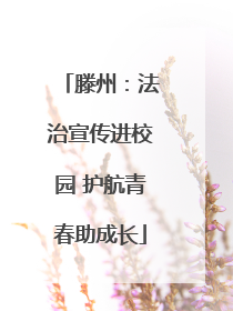 滕州：法治宣传进校园 护航青春助成长