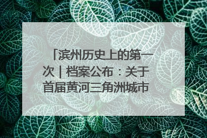 滨州历史上的第一次｜档案公布：关于首届黄河三角洲城市经济博览会暨发展论坛情况的总结报告