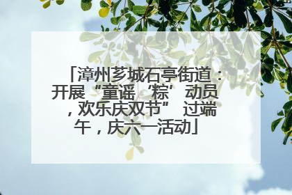 漳州芗城石亭街道：开展“童谣‘粽’动员，欢乐庆双节” 过端午，庆六一活动