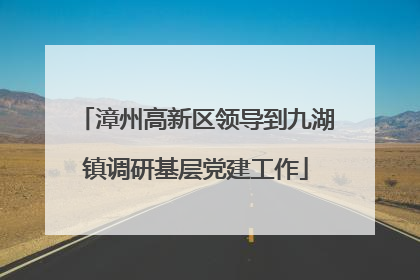 漳州高新区领导到九湖镇调研基层党建工作