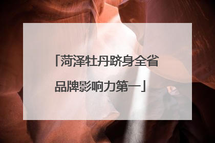 菏泽牡丹跻身全省品牌影响力第一