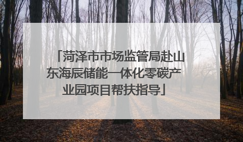 菏泽市市场监管局赴山东海辰储能一体化零碳产业园项目帮扶指导