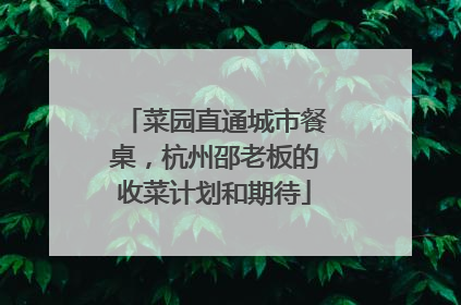 菜园直通城市餐桌，杭州邵老板的收菜计划和期待