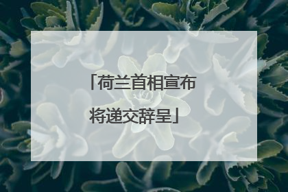 荷兰首相宣布将递交辞呈