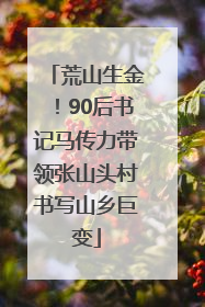 荒山生金！90后书记马传力带领张山头村书写山乡巨变