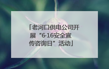 老河口供电公司开展“6·16安全宣传咨询日”活动
