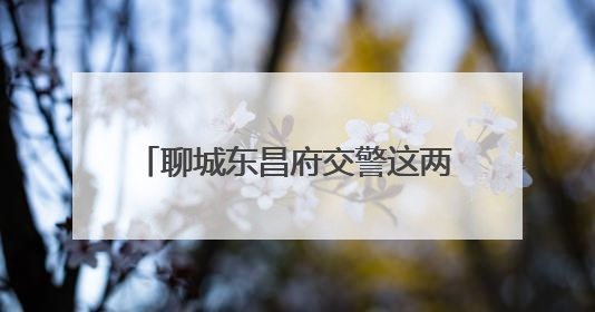 聊城东昌府交警这两场救援行动暖了民心
