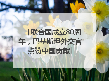联合国成立80周年，巴基斯坦外交官点赞中国贡献