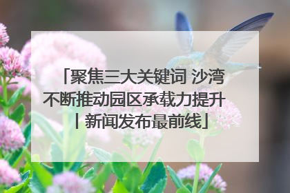 聚焦三大关键词 沙湾不断推动园区承载力提升丨新闻发布最前线
