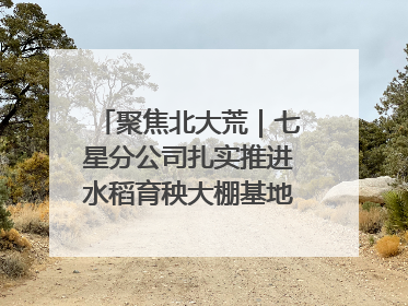 聚焦北大荒｜七星分公司扎实推进水稻育秧大棚基地清理整治工作