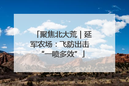 聚焦北大荒｜延军农场：飞防出击 “一喷多效”