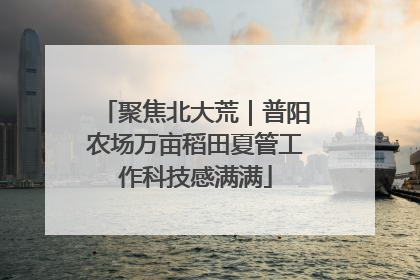 聚焦北大荒｜普阳农场万亩稻田夏管工作科技感满满