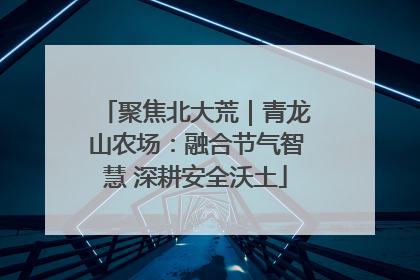 聚焦北大荒｜青龙山农场：融合节气智慧 深耕安全沃土