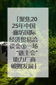 聚焦2025年中国·廊坊国际经济贸易洽谈会③一场“链主会” 助力厂商破圈发展
