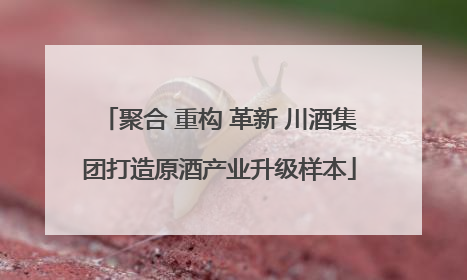聚合 重构 革新 川酒集团打造原酒产业升级样本
