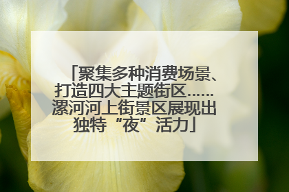 聚集多种消费场景、打造四大主题街区……漯河河上街景区展现出独特“夜”活力