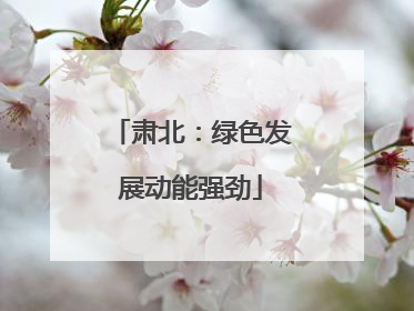 肃北：绿色发展动能强劲