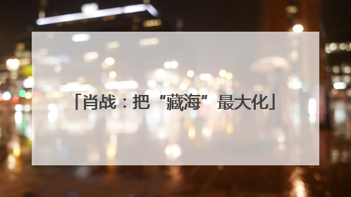 肖战：把“藏海”最大化